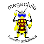 L'abeille solitdaire